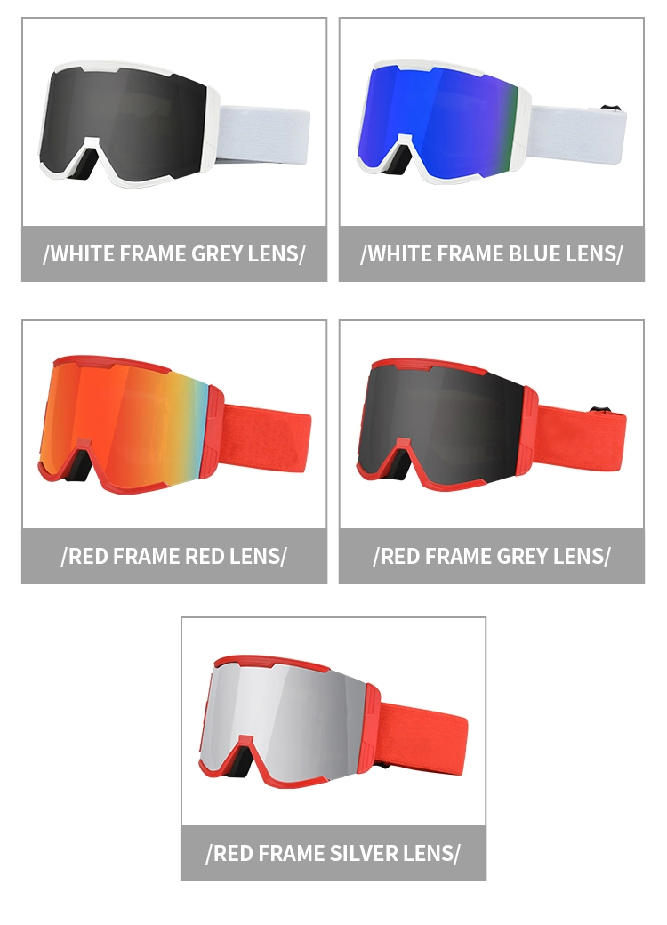 Wholesale Winter Sports Protective Snow Snowboard Eyewear Ski Goggles